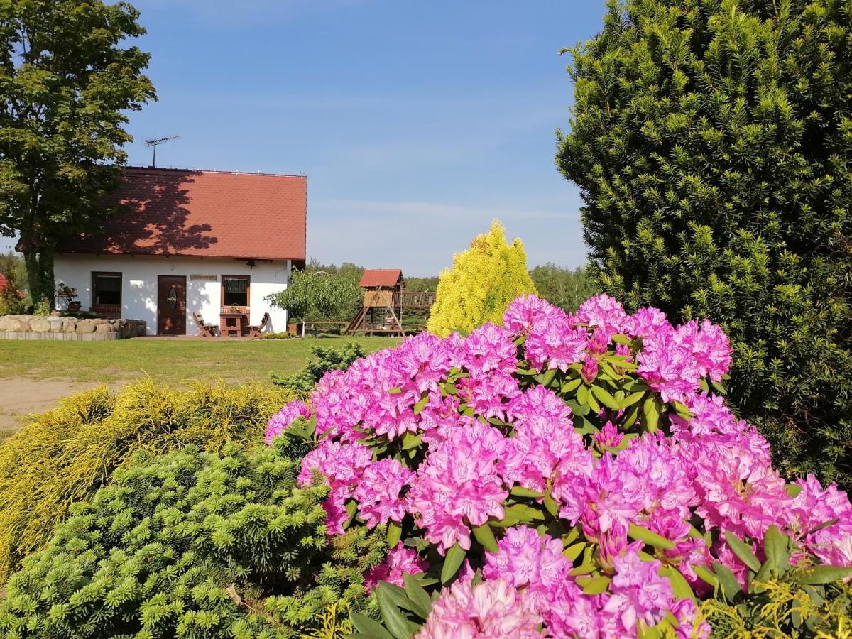 Domek Czerwony Kapturek Villa Plocice Esterno foto